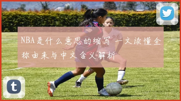 NBA是什么意思的缩写 一文读懂全称由来与中文含义解析