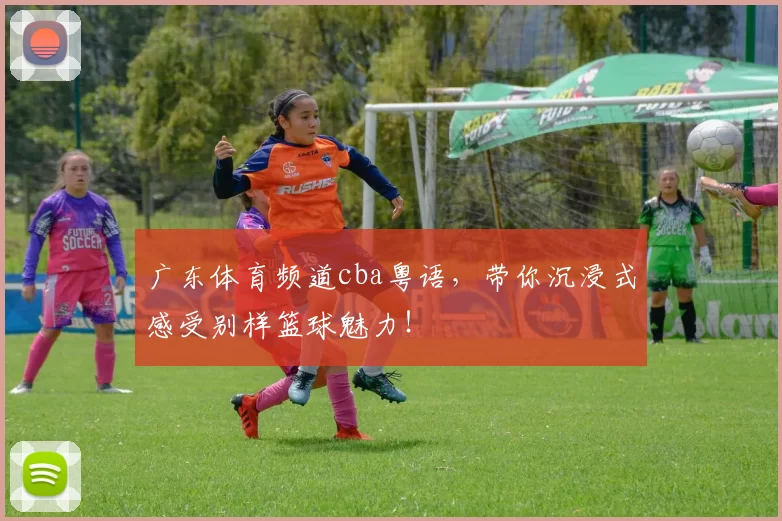 广东体育频道cba粤语，带你沉浸式感受别样篮球魅力！