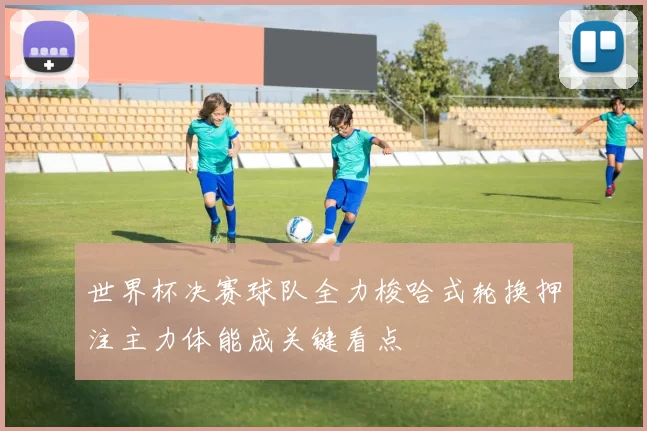 世界杯决赛球队全力梭哈式轮换押注主力体能成关键看点
