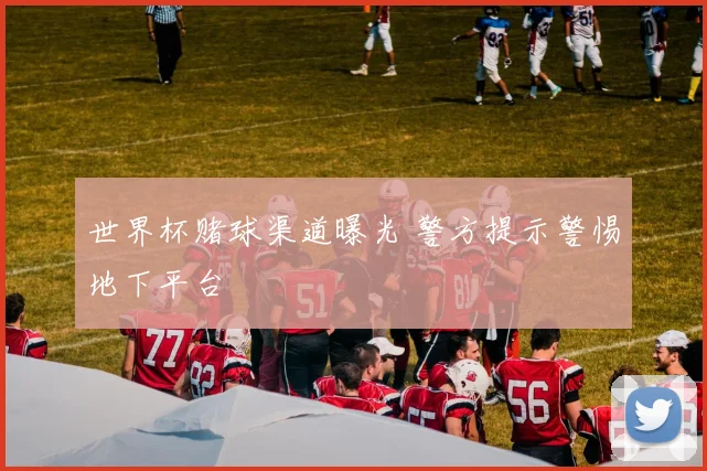 世界杯赌球渠道曝光 警方提示警惕地下平台